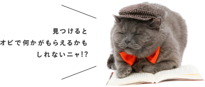 見つけるとオビで何かがもらえるかもしれないニャ!?