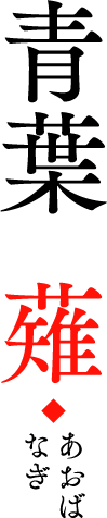 青葉  薙 あおばなぎ