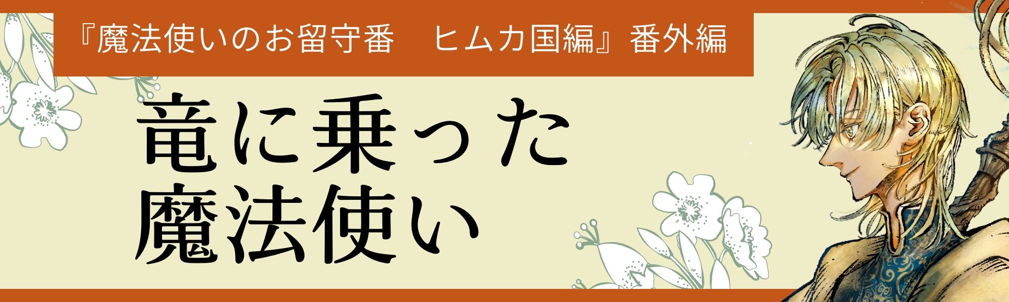 竜に乗った魔法使い