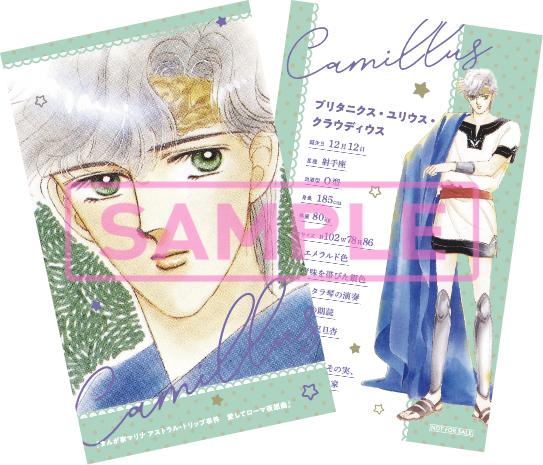 特集 奇跡の復刊＆完結！『 まんが家マリナ』シリーズ特集 - 集英社